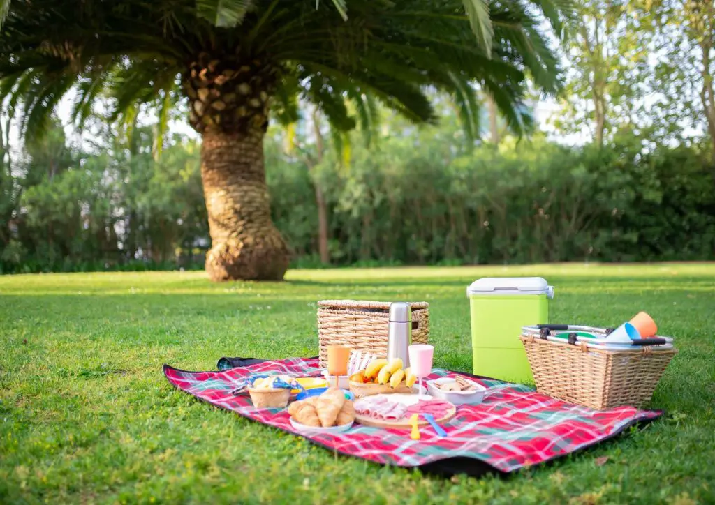 Plan The Ultimate Picnic: the ideal