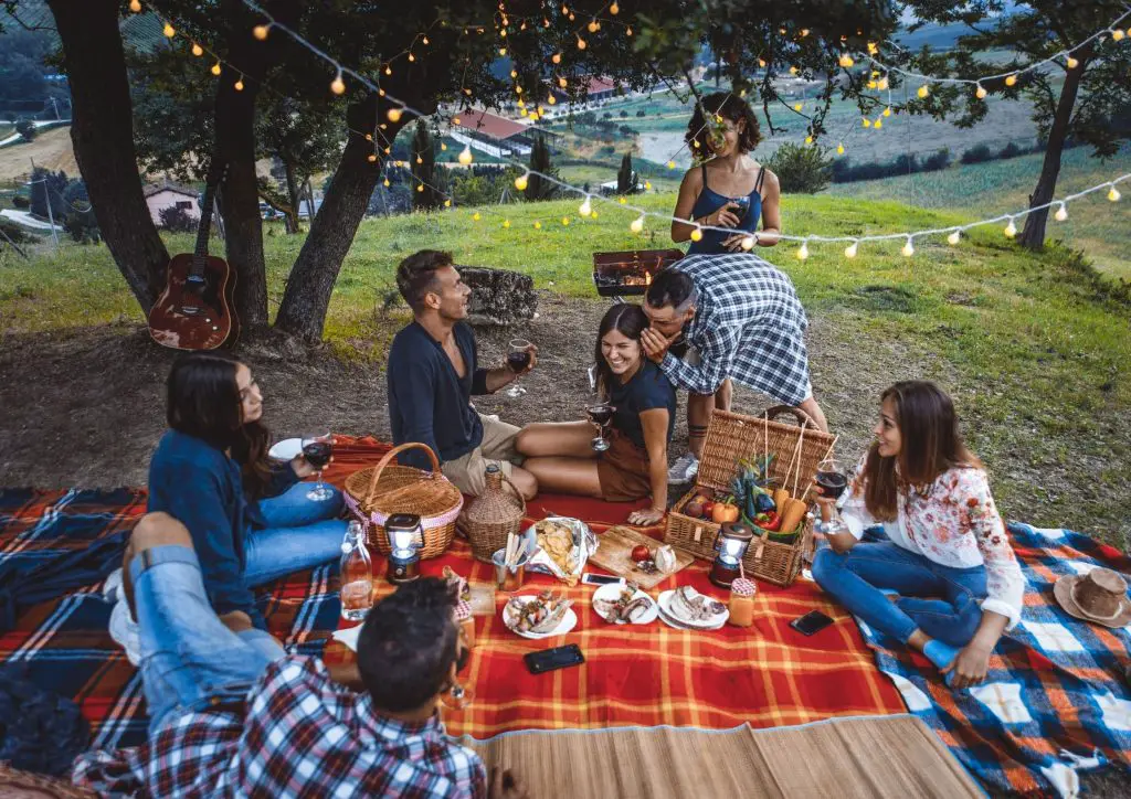 Plan The Ultimate Picnic: how much food?