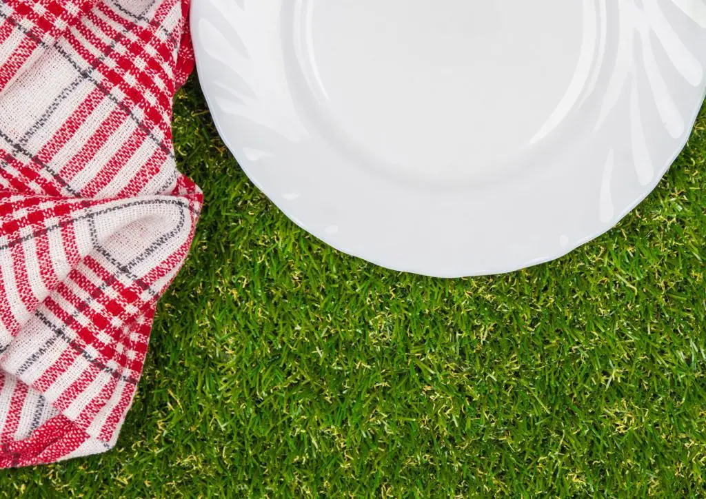 Plan The Ultimate Picnic: clean as you go