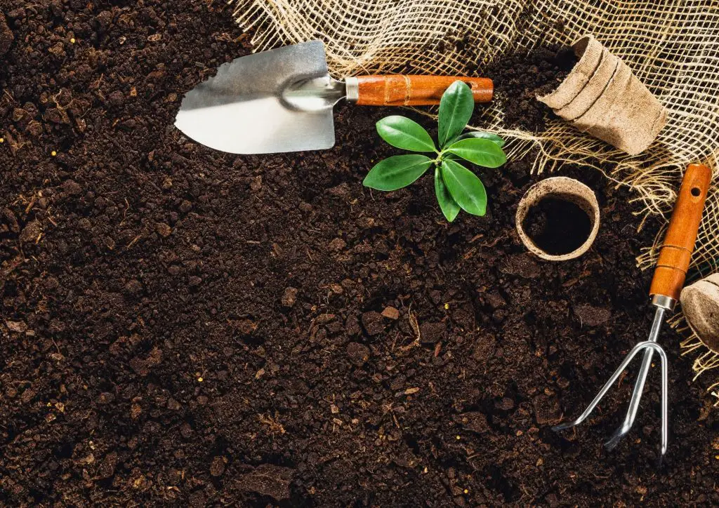 Successful Gardening know your soil