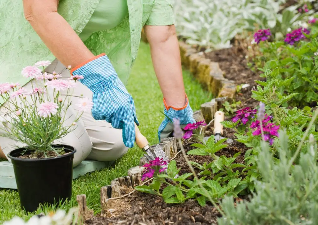 Successful Gardening mapping out your garden