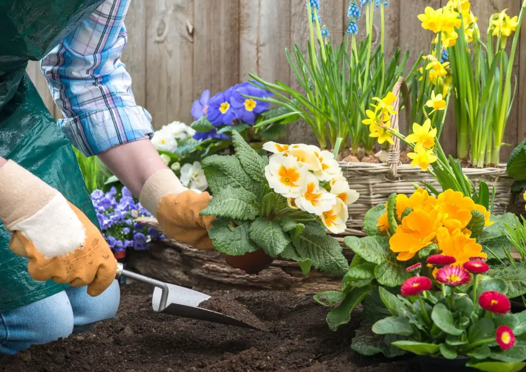 simple garden at home:  do your own garden work