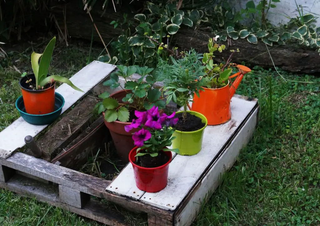 simple garden at home: use small spaces