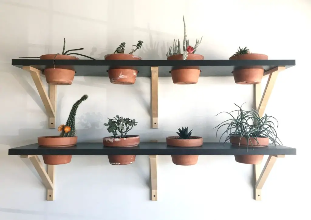 simple garden at home: have a garden wall